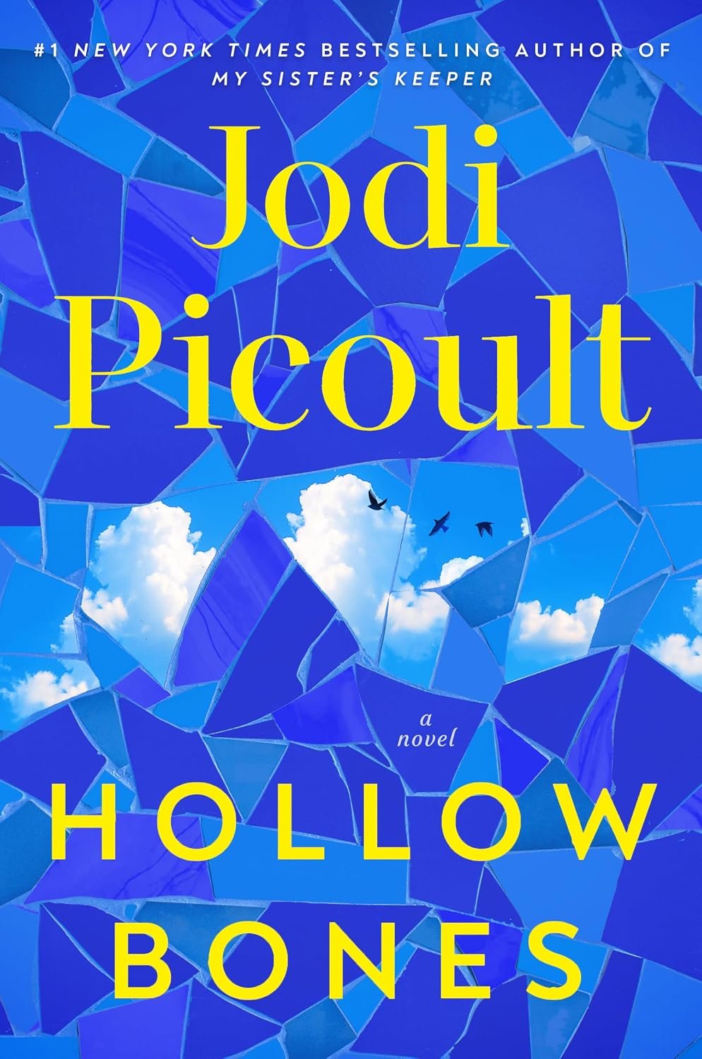 Hollow Bones: A Novel by Jodi Picoult book cover