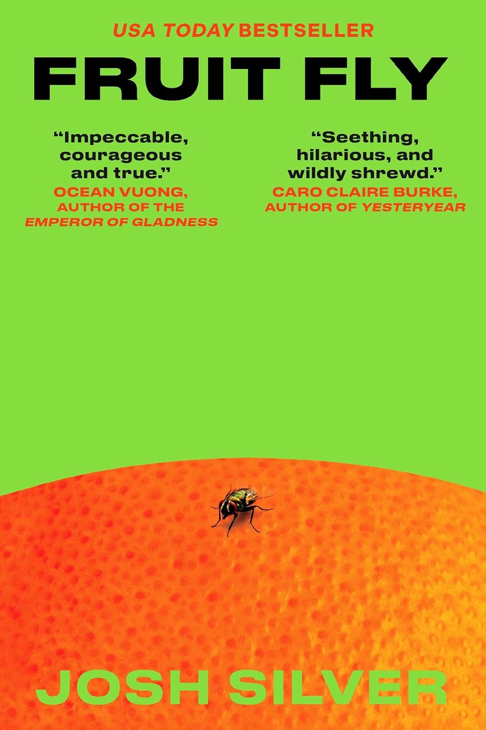 Fruit Fly: A Novel by Josh Silver book cover
