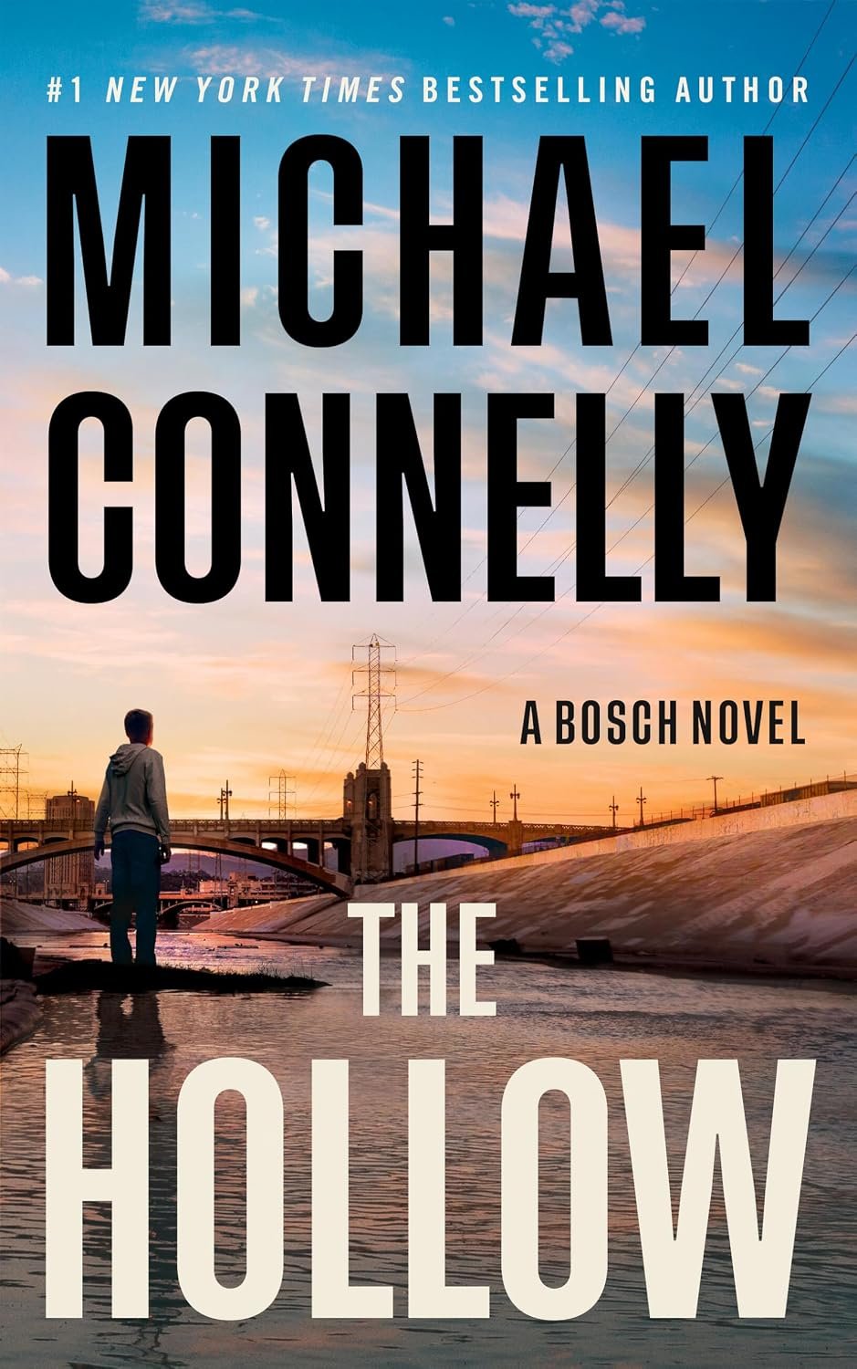 The Hollow (Harry Bosch) by Michael Connelly book cover
