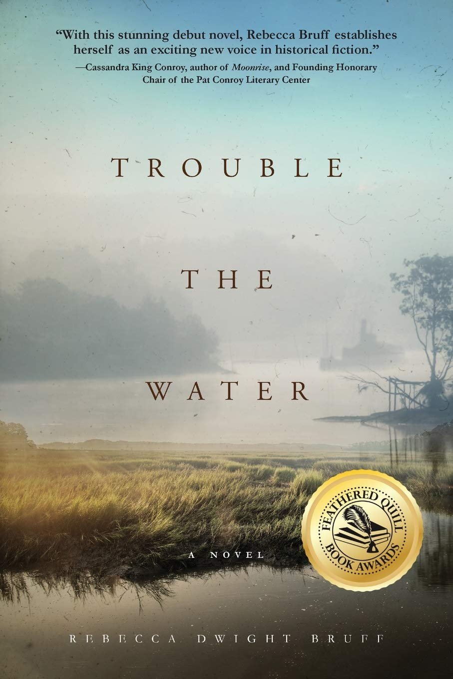 Trouble The Water: A NOVEL by Rebecca Dwight Bruff book cover