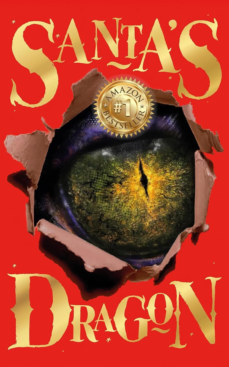 Santa's Dragon by C. R. Stobo book cover