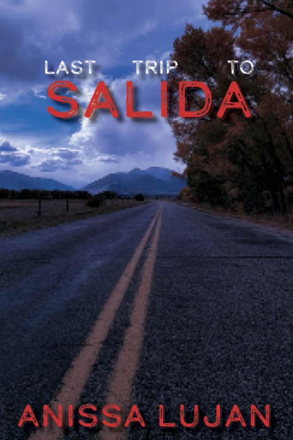 Last Trip to Salida Last Trip to Salida by Anissa Lujan book cover