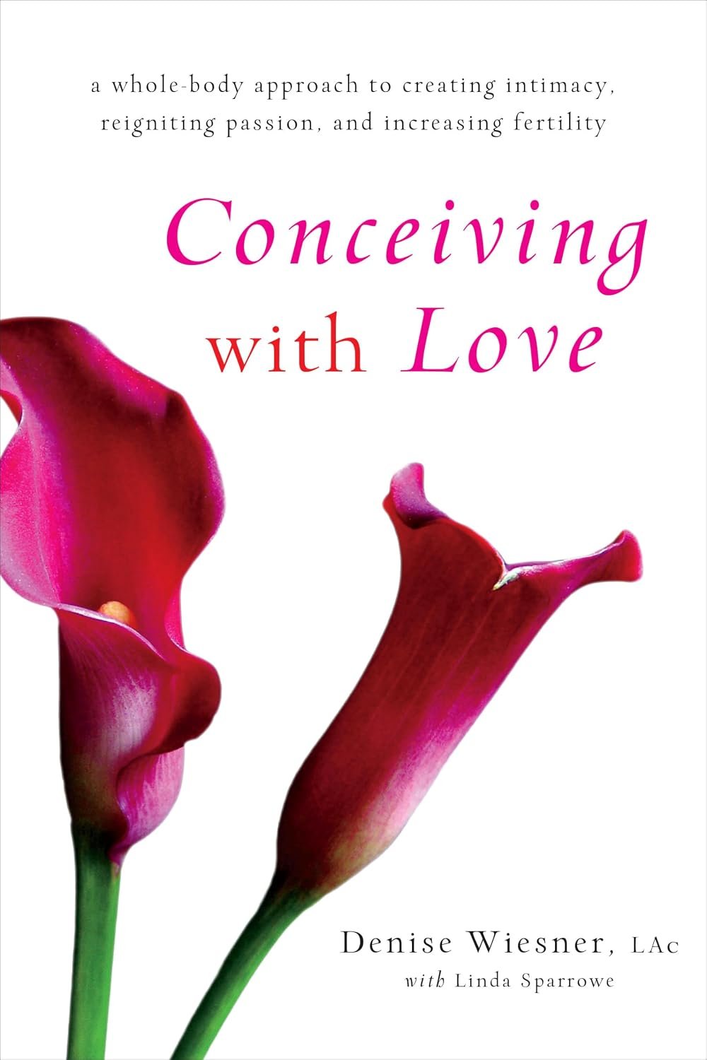 Conceiving with Love: A Whole-Body Approach to Creating Intimacy, Reigniting Passion, and Increasing Fertility by Denise Wiesner book cover