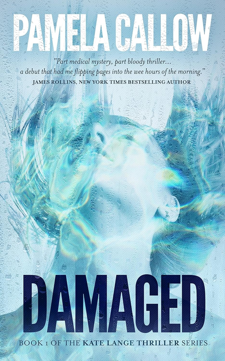 Cover of DAMAGED by Pamela Callow