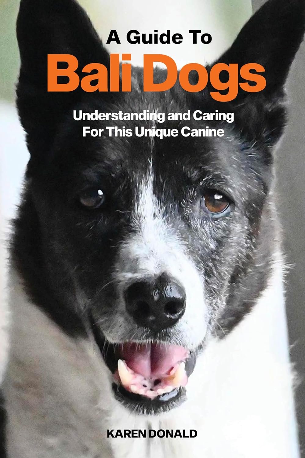 A Guide to Bali Dogs Book cover for A Guide to Bali Dogs by Karen Donald