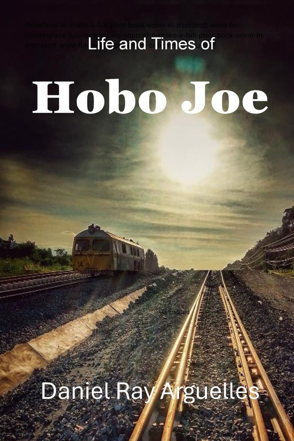 Book cover of Life and Times of Hobo Joe by Daniel Ray Arguelles